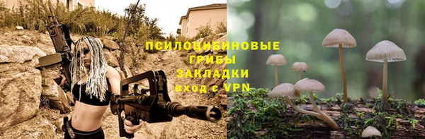 трава Балахна